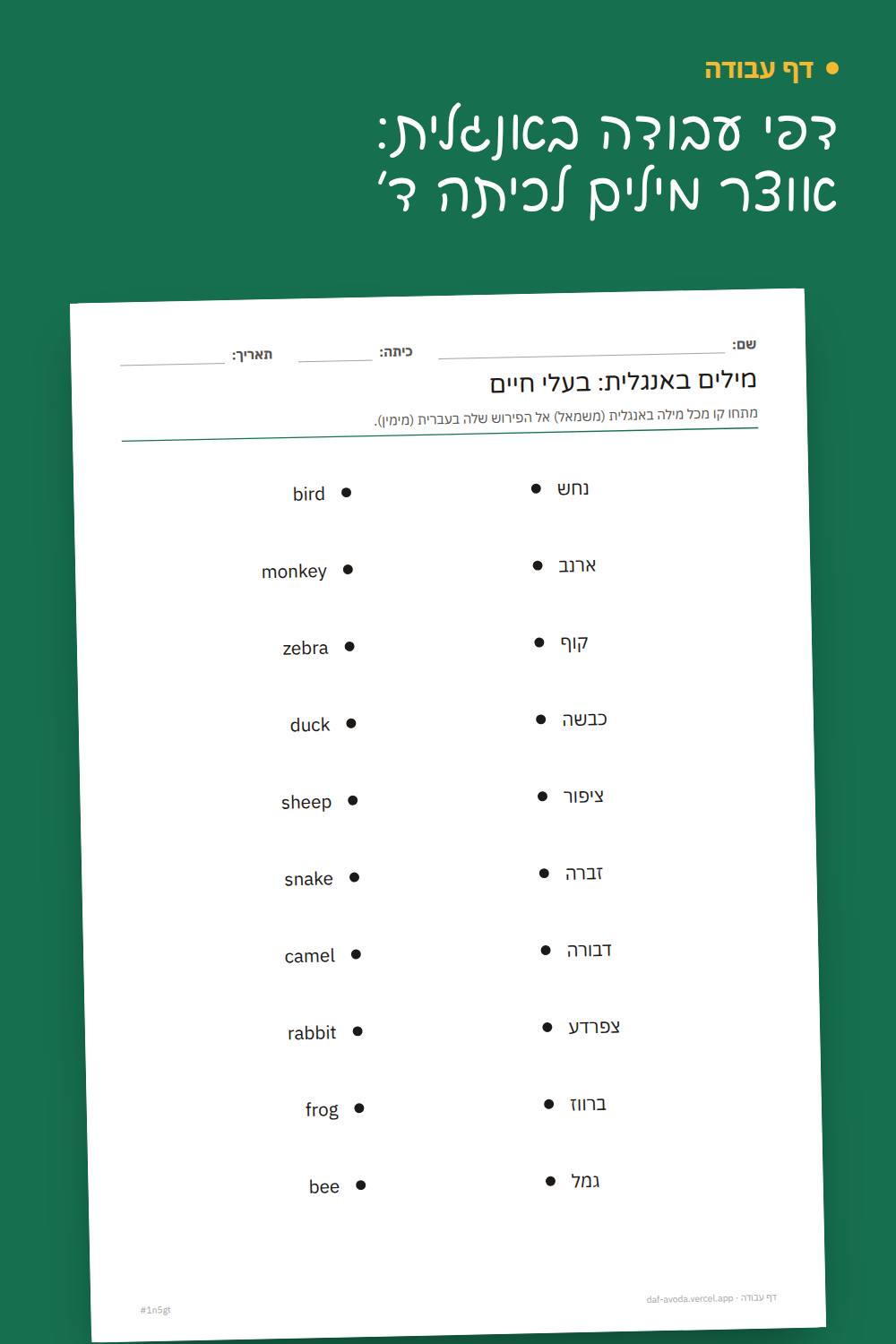 דוגמה: דפי עבודה באנגלית: אוצר מילים לכיתה ד׳